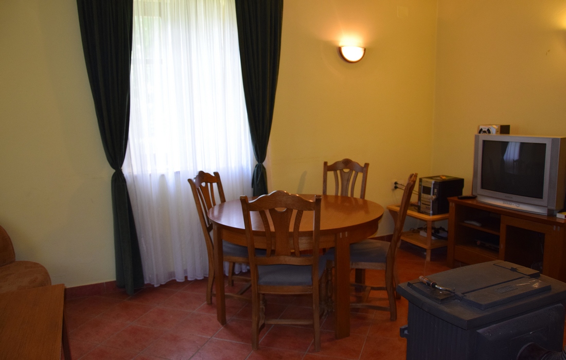 Living room in the apartment - Jankovac - Papuk